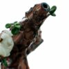 Shop Empire Glassworks Hootie’s Tree Water Pipe 🦉 in australian