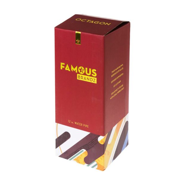Shop Famous Designs Octagon 12” Glass Beaker Bong in australian