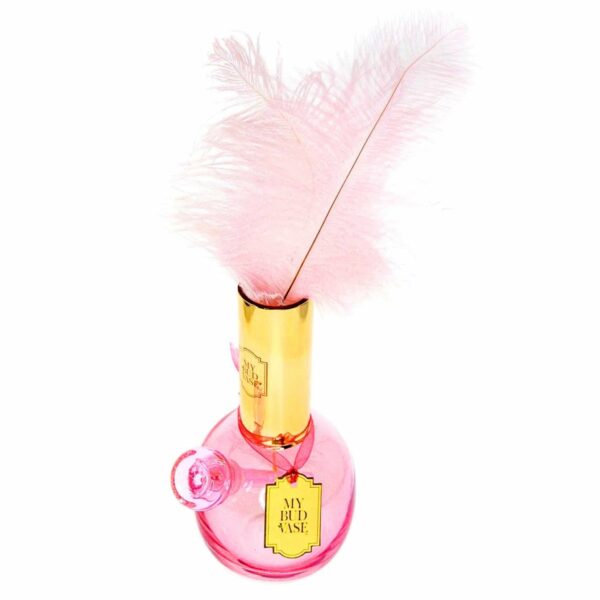 Shop My Bud Vase Flamingo Water Pipe in australian