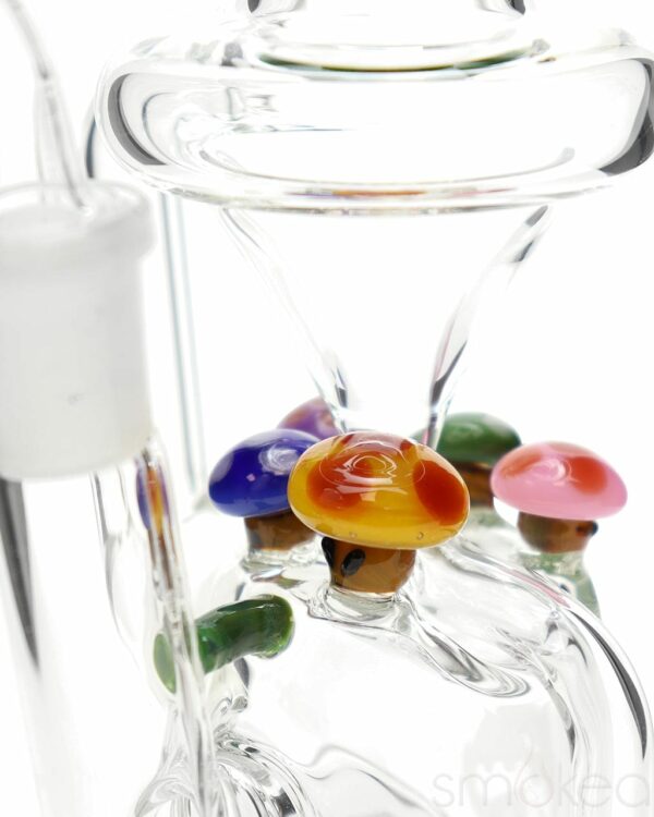 Shop Empire Glassworks Mini Mushroom Recycler Rig in australian