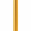 Golden Rod