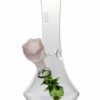 Shop Hemper Flower Vase Bong in australian
