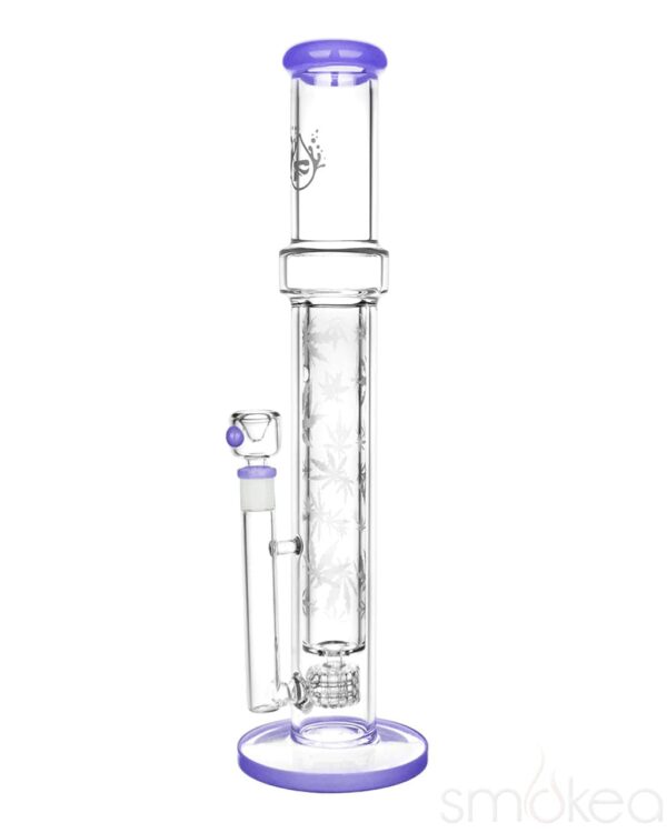 Shop Pulsar Double Wall Perc Tube Bong in australian